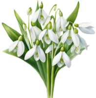 A bouquet of Snowdrop flowers. AI-Generated. png