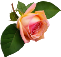 fechar-se do lindo colorida rosas com folhas. gerado por ai. png