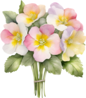 A bouquet of Primrose flowers. AI-Generated. png