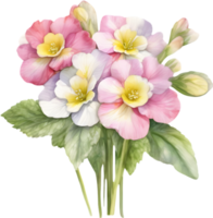 A bouquet of Primrose flowers. AI-Generated. png