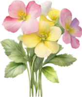 A bouquet of Primrose flowers. AI-Generated. png