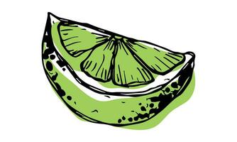 Vector lime clipart. Hand drawn citrus icon. Fruit illustration. For print, web, design, decor