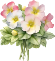 A bouquet of Primrose flowers. AI-Generated. png