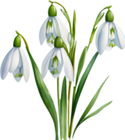 A bouquet of Snowdrop flowers. AI-Generated. png