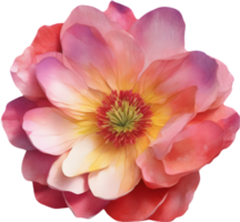 ein Nahansicht Aquarell Zeichnung von ein Rosa Blumen. KI-generiert. png