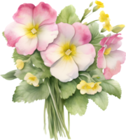 A bouquet of Primrose flowers. AI-Generated. png