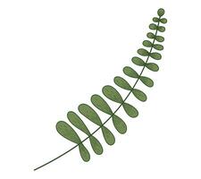 Decorative flat twig with leaves. Vector isolated plant illustration, natural branch, sketch style.