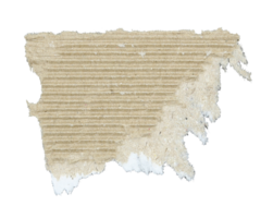 Torn pieces of corrugated paper on transparent background png file