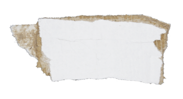 Torn pieces of corrugated paper on transparent background png file