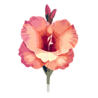 Gladiolus flower ,red gladiolus flower design element Free download It's perfect for fabrics, t-shirts, mugs, decals, pillows, logo, pattern and much more, AI Generative png