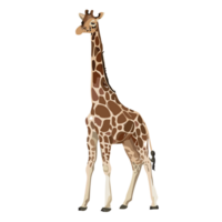 giraffa animale, ai generativo png