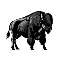 zubr buffalo bison transparent background, AI Generative png