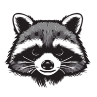 mapache cabeza icono transparente fondo, ai generativo png