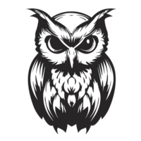 Black and white Owl transparent background, AI Generative png