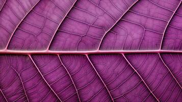 Close up texture leaf structure macro photography, abstract texture, Generative AI illustration photo