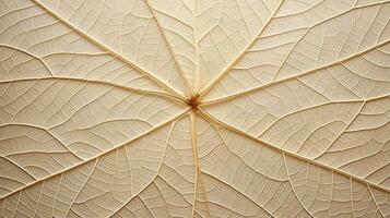 Close up texture leaf structure macro photography, abstract texture, Generative AI illustration photo