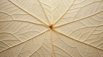 Close up texture leaf structure macro photography, abstract texture, Generative AI illustration photo