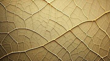 Close up texture leaf structure macro photography, abstract texture, Generative AI illustration photo