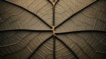 Close up texture leaf structure macro photography, abstract texture, Generative AI illustration photo