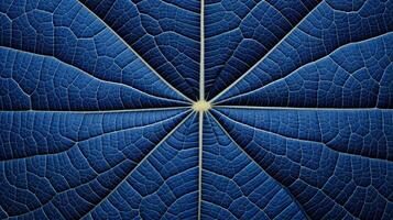 Close up texture leaf structure macro photography, abstract texture, Generative AI illustration photo