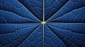 Close up texture leaf structure macro photography, abstract texture, Generative AI illustration photo