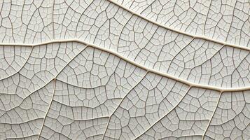 Close up texture leaf structure macro photography, abstract texture, Generative AI illustration photo