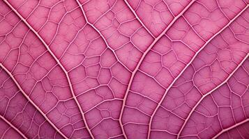 Close up texture leaf structure macro photography, abstract texture, Generative AI illustration photo