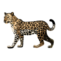 leopard transparent bakgrund, ai generativ png