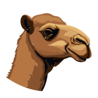 Camel face transparent background, AI Generative png