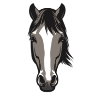 Horse face ,head , AI Generative png