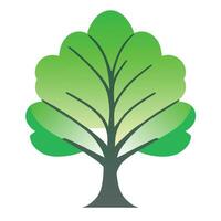 trees, plant growth and profit growth vector