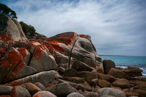 lichón incrustado granito cantos rodados a el bahía de incendios tasmania foto