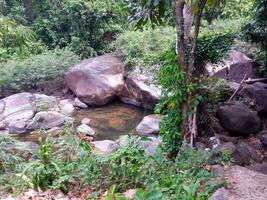 beautiful view of the river in the mountains photo