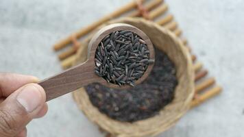 zwart rijst- granen in een houten kom . video