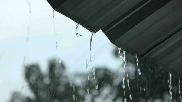 långsam rörelse, regn, regndroppar bakgrund video