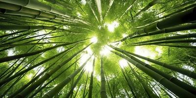 The Green Bamboo Forest. A Natural Wonder. AI Generative photo