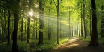 hermosa rayos de luz de sol en un verde bosque. generativo ai foto
