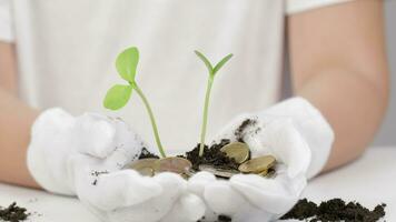 une la personne en portant une plante avec pièces de monnaie et sol, concept de financier croissance video