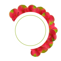 cercle cadres avec fleurs png