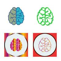 Brain Vector Icon