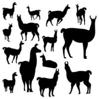 colección de llama silueta vector ilustraciones.