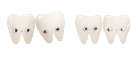 Dentition with healthy white teeth. Teeth with eyes characters look at each other. Baby cute isolated illustration on  transparent background. png