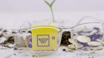 money and plant in the glasses, concept of financial growth video