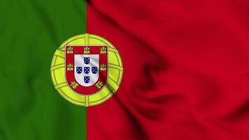 Portugal bandera animación para antecedentes en 4k contento independencia día Portugal nacional bandera ondulación. patriotismo símbolo. bandera movimiento gráficos. bandera Moviente video