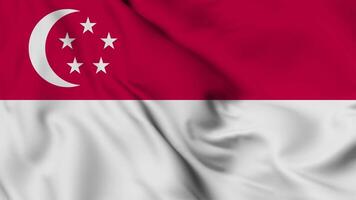 Singapour drapeau animation pour Contexte dans 4k. content indépendance journée Singapour nationale drapeau agitant. patriotisme symbole. drapeau mouvement graphique. drapeau en mouvement video