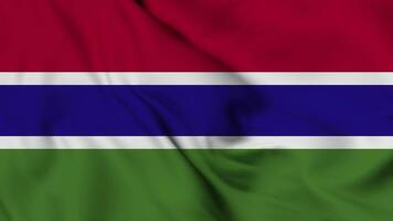 Gambia vlag animatie voor achtergrond in 4k. gelukkig onafhankelijkheid dag nationaal vlag zwaaien. patriottisme symbool. vlag beweging grafiek. vlag in beweging video