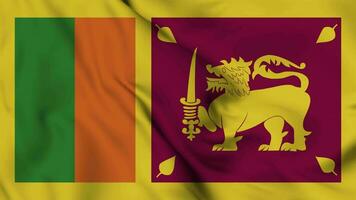 Sri Lanka flag animation for background in 4k. Happy independence day Sri Lanka national flag waving. Patriotism symbol. Flag motion graphics. Flag moving video