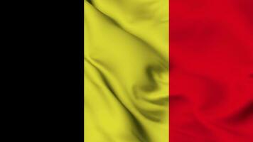 Belgium flag animation for background in 4k. Happy independence day national flag waving. Patriotism symbol. Flag motion graphics. Flag moving video