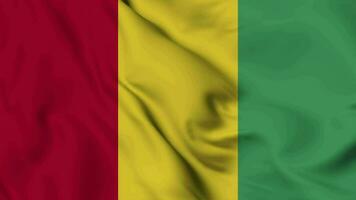 Guinea flag animation for background in 4k. Happy independence day national flag waving. Patriotism symbol. Flag motion graphics. Flag moving video