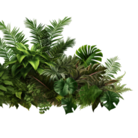 Tropical leaves and fern plant hedge png ai generative